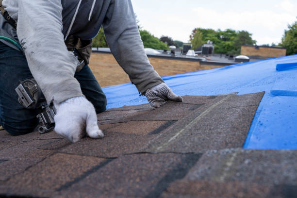 Professional Roofing Contractor in Jackson, KY