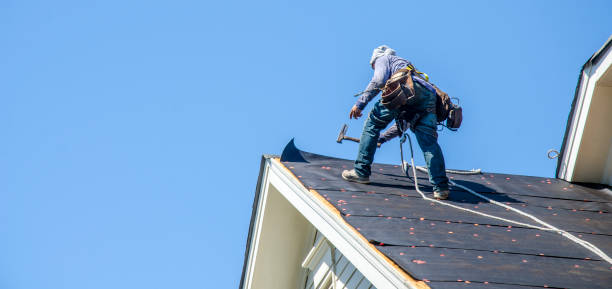 Best Roof Gutter Cleaning  in Jackson, KY